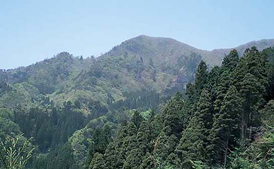 犬ヶ岳の稜線