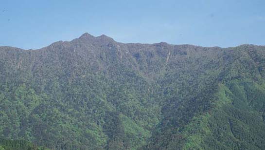 祖母山の尾根