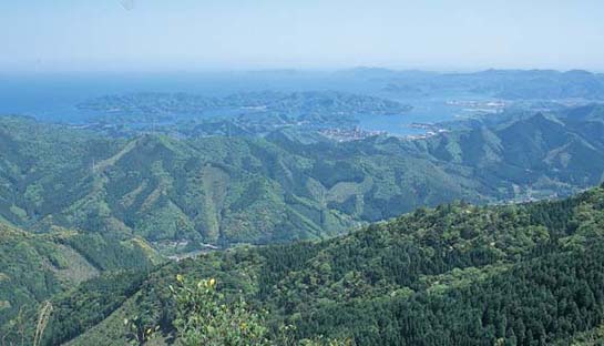豊後水道及び後背地(尺間山より)